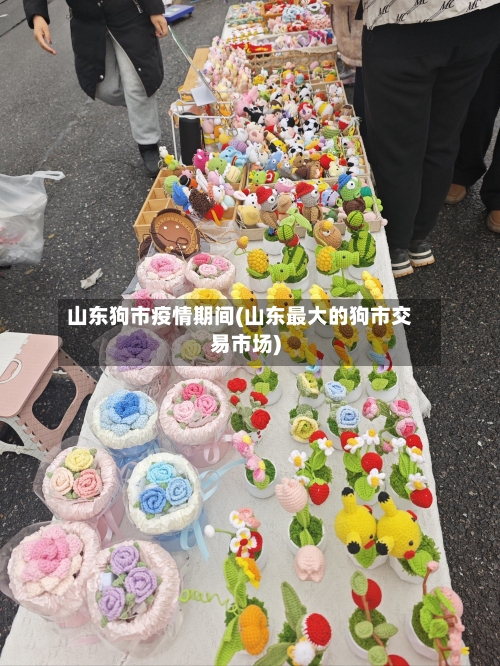 山东狗市疫情期间(山东最大的狗市交易市场)