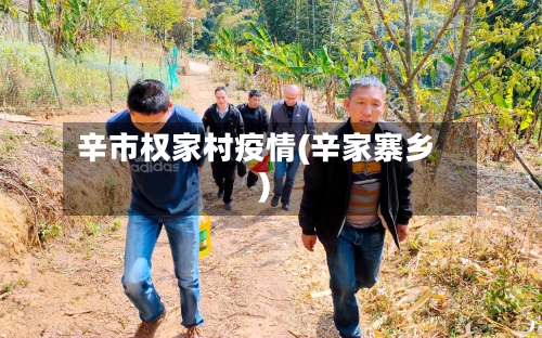 辛市权家村疫情(辛家寨乡)