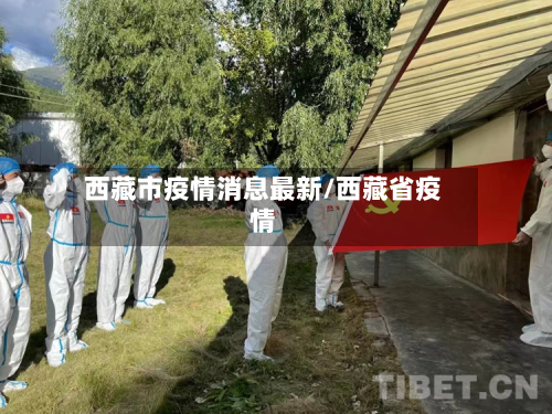西藏市疫情消息最新/西藏省疫情-第2张图片