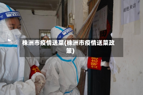 株洲市疫情送菜(株洲市疫情送菜政策)