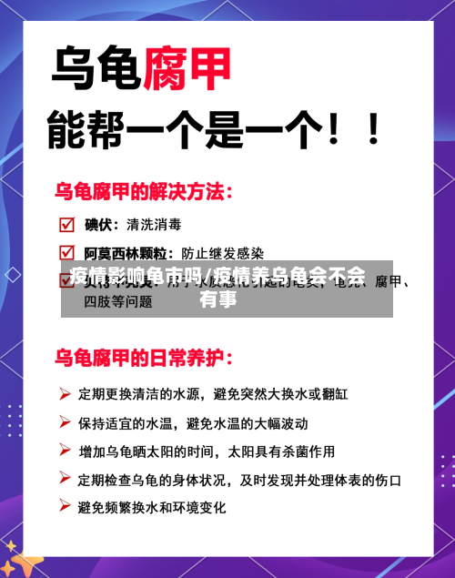 疫情影响龟市吗/疫情养乌龟会不会有事-第2张图片