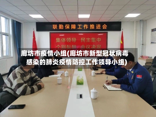 廊坊市疫情小组(廊坊市新型冠状病毒感染的肺炎疫情防控工作领导小组)-第2张图片