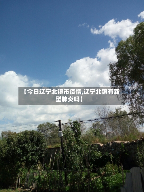 【今日辽宁北镇市疫情,辽宁北镇有新型肺炎吗】