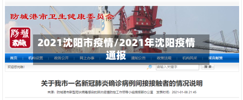 2021沈阳市疫情/2021年沈阳疫情通报-第2张图片