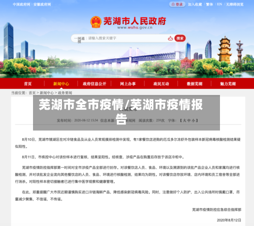 芜湖市全市疫情/芜湖市疫情报告