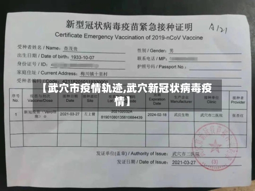 【武穴市疫情轨迹,武穴新冠状病毒疫情】