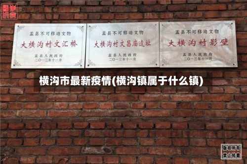 横沟市最新疫情(横沟镇属于什么镇)
