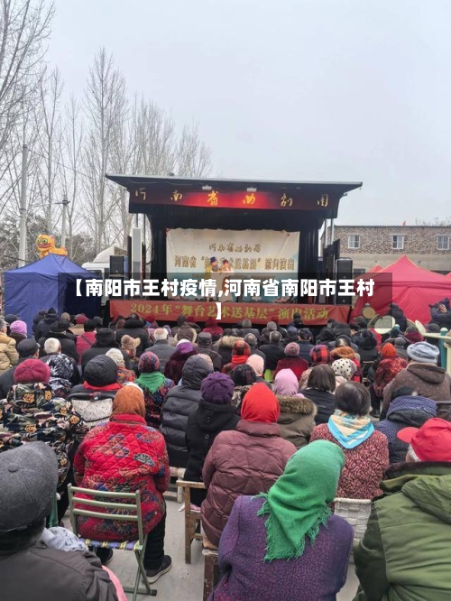 【南阳市王村疫情,河南省南阳市王村】