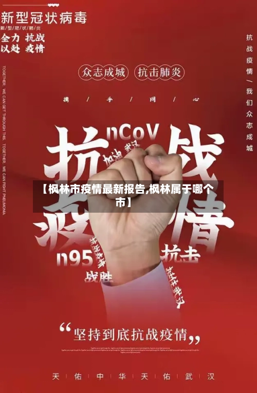 【枫林市疫情最新报告,枫林属于哪个市】